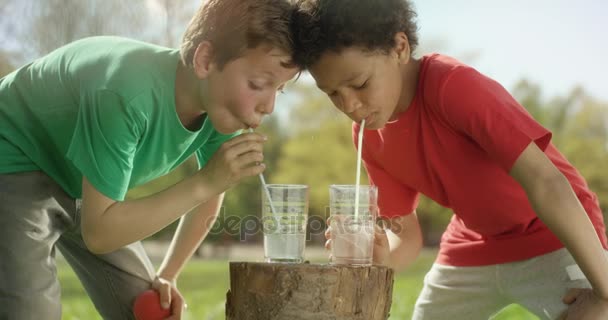Два маленьких мальчика пьют воду с соломинкой снаружи — стоковое видео