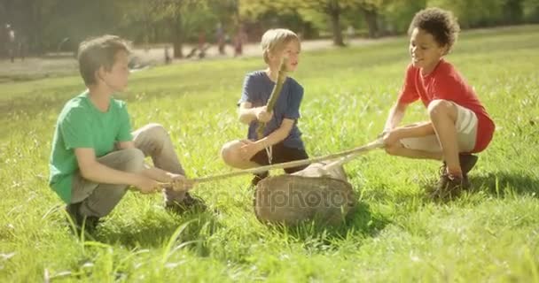 Jongens in park drummen met stokken op stam — Stockvideo