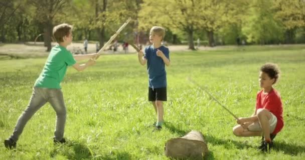Αγόρια αγωνίζονται με ραβδιά σε ένα πάρκο, σε μια ηλιόλουστη ημέρα — Αρχείο Βίντεο