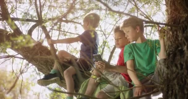 Små pojkar spelar på smartphone medan du sitter på ett träd — Stockvideo