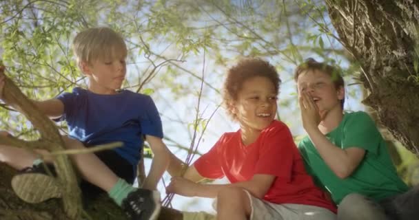 Three boys whispering and laughing to each other — Stock Video