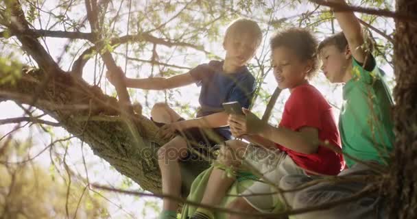 Little Boys olhando para o smartphone enquanto está sentado em uma árvore — Vídeo de Stock