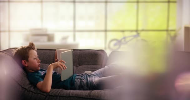 Chlapec s knihou na gauči — Stock video