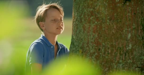 Παιδί Που Αγκαλιάζει Ένα Δέντρο — Αρχείο Βίντεο