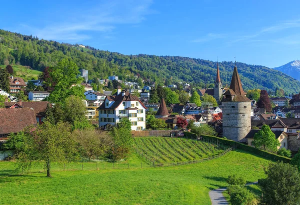 Zug stadsgezicht in het voorjaar — Stockfoto