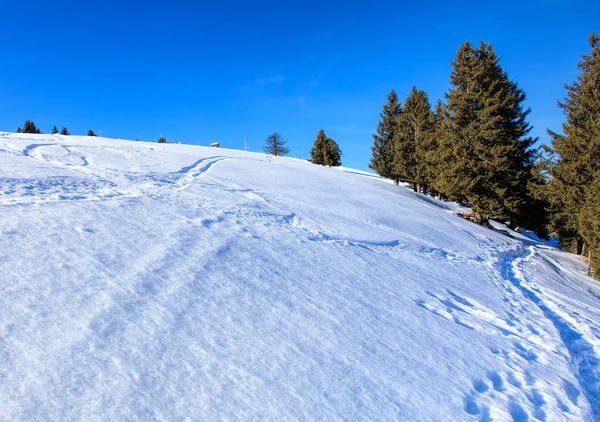 Δες στο Mount Rigi το χειμώνα — Φωτογραφία Αρχείου