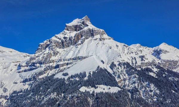 Montera Hahnen i schweiziska Alperna — Stockfoto