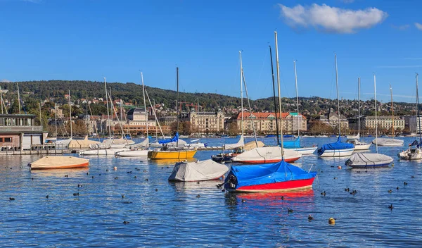 Fåglar och båtar på sjön Zürich i Schweiz — Stockfoto