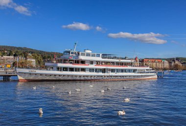 Kuğu ve Ms Linth Zürih Gölü üzerinde bir iskelede