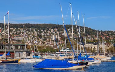 Lake Zurich gemilerde