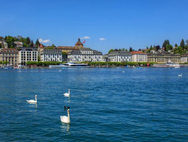 İsviçre bahar'ın dört kanton Gölü