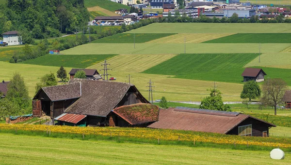 Bâtiments et champs au pied du Mt. Stanserhorn en Suisse — Photo