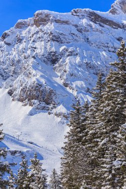 Mt. Titlis İsviçre kış görünümü