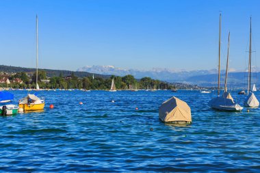 Lake Zurich bir yaz akşamı