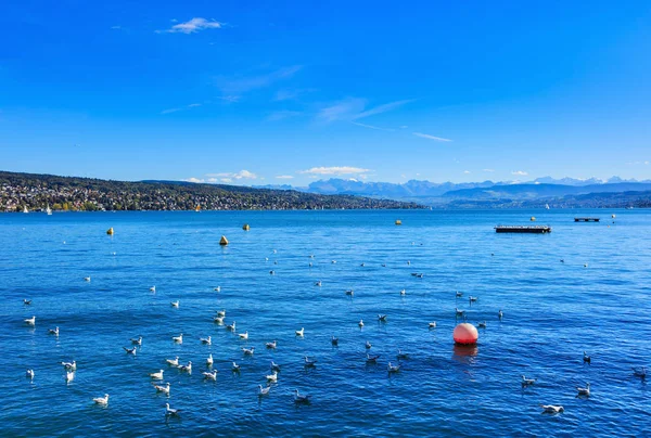 Lago Zurich en Suiza — Foto de Stock