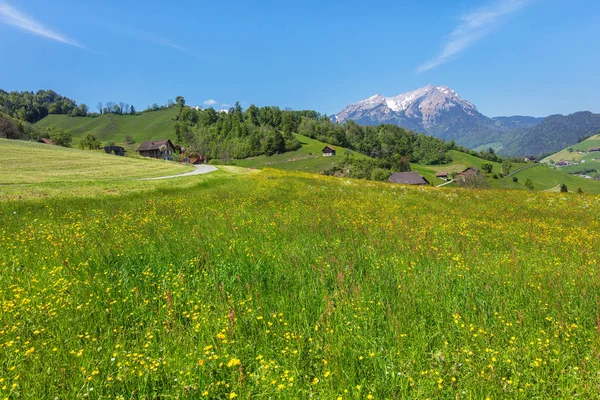Vista da primavera no cantão suíço de Nidwalden — Fotografia de Stock