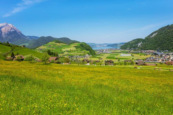 Vue printanière dans le canton suisse de Nidwalden — Photo