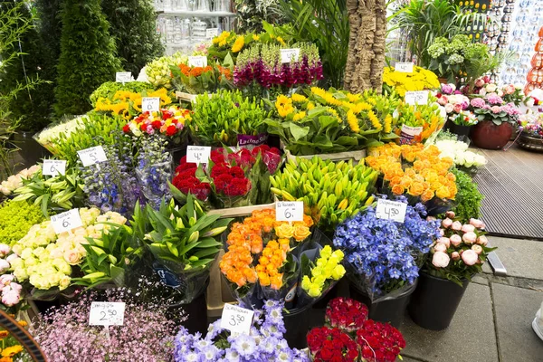 Amsterdam, y flores — Foto de Stock