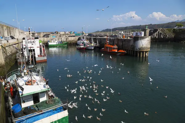 Puerto Pesquero Localidad Llanes Asturias España —  Fotos de Stock