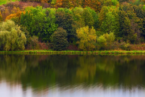 Schöner Wald, der sich am ruhigen Seeufer spiegelt — Stockfoto