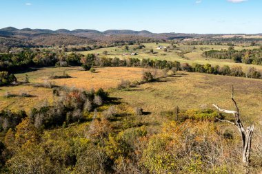 Sonbaharda bir gözden geçirme.