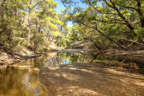 Kleiner Fluss im Wald. schöne Landschaft mit Bäumen reflektieren — Stockfoto