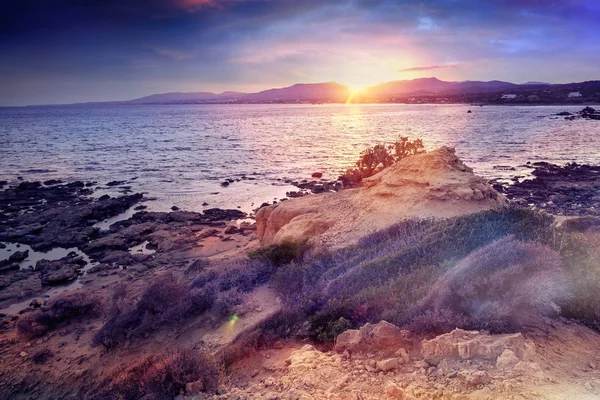 Deniz kıyısında güzel renkli gün batımı — Stok fotoğraf