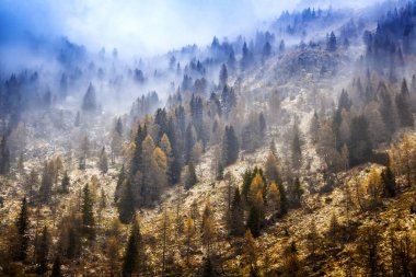 Alpler, güzel dağ manzarası