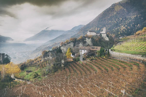 Wijngaarden in de Alpine bergen, Italië, Zuid-Tirol, Meran — Stockfoto