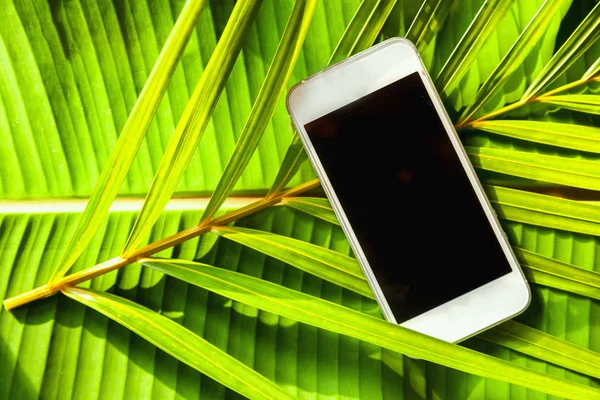 Smartphone on a green natural background tropical, palm leaves, — Stock Photo, Image