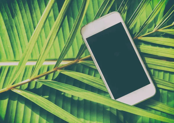 Smartphone on a green natural background tropical, palm leaves, — Stock Photo, Image