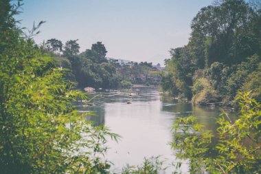 Yaz sezonu manzara - gökyüzü ve orman yeşil. Sıcak kuru sakin 
