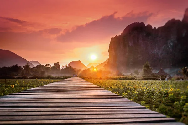 Holzweg in einem Feld bei Sonnenuntergang. Berglandschaft, Laos, — Stockfoto