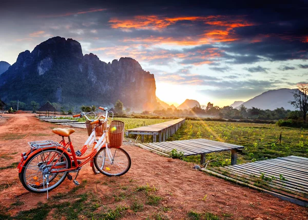 Trekking bicycles with baskets on the background of a beautiful — Stock Photo, Image