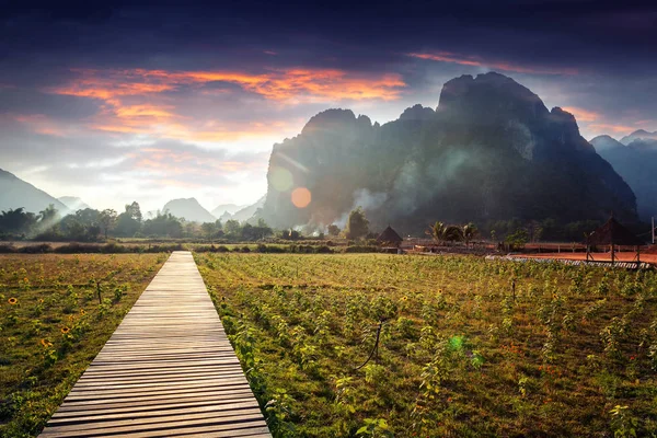 Wooden footpath in a field at sunset. Mountain landscape, Laos, — Stock Photo, Image