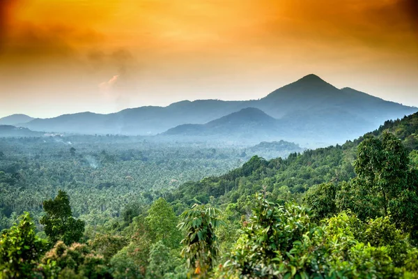 在日落时的热带山谷 — 图库照片