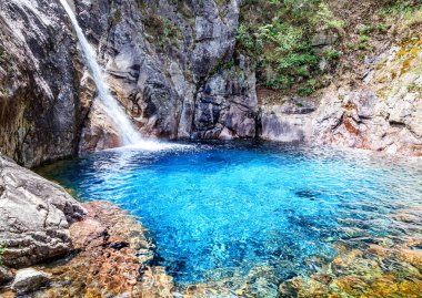 Şelale Milli Parkı Seoraksan, güzel ormanında