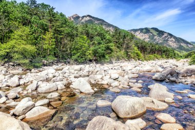 Seoraksan Milli Parkı, güzel brig nehirde dağ