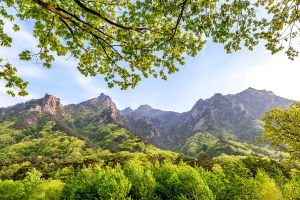 Seoraksan Natural park, Sydkorea — Stockfoto