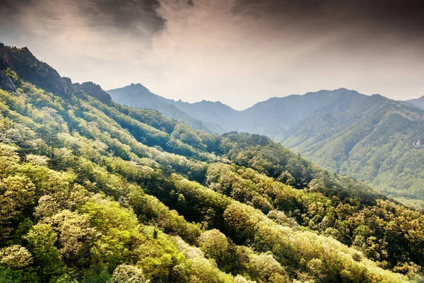 Hora do pôr-do-sol. Bela paisagem montanhosa no parque nacional o — Fotografia de Stock