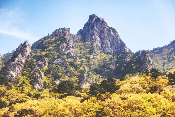 Bela paisagem montanhosa no parque nacional de Soraksan, S — Fotografia de Stock