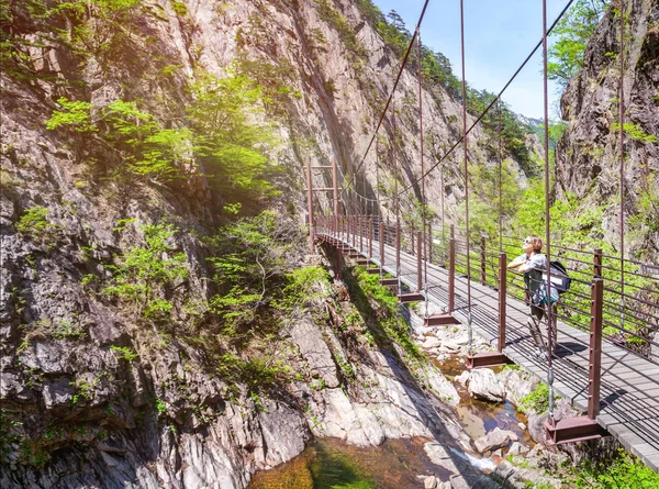 少女トラベラー nat に山の吊橋 — ストック写真