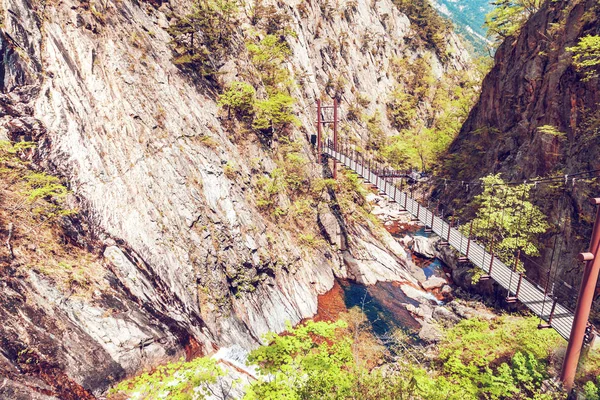 塞奥拉国家公园的山区悬索桥 — 图库照片