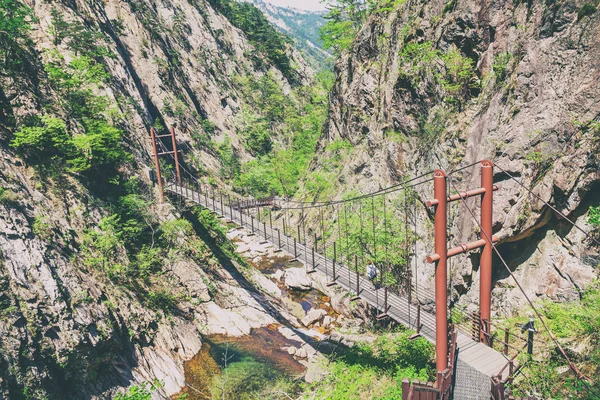 Κρεμαστή γέφυρα στα βουνά για το εθνικό πάρκο του Seora — Φωτογραφία Αρχείου