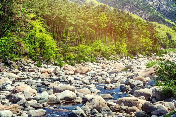 Berg rivier in het nationaal park van Seoraksan, mooie brig — Stockfoto