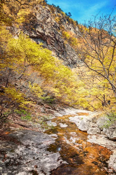 Fiume di montagna nel parco nazionale di Seoraksan, bel brigantino — Foto Stock