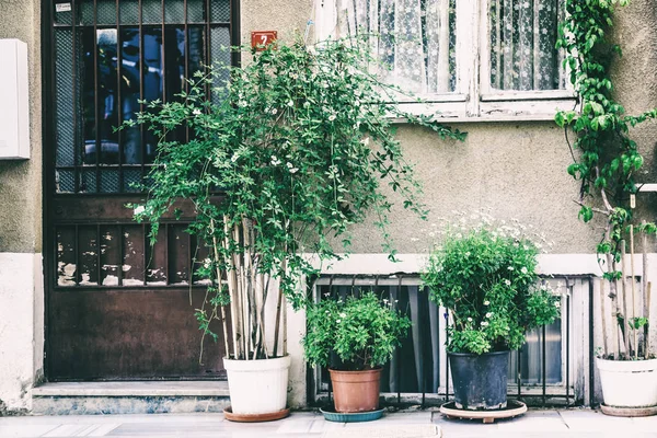 Exterior da casa, com flores e plantas em vasos. Imagem wi — Fotografia de Stock