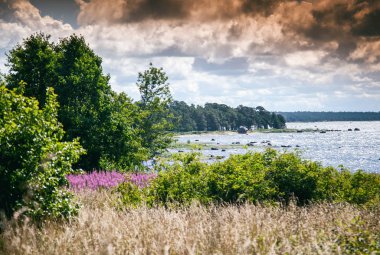 Güzel sahne, Finlandiya Körfezi, Estonya sahil