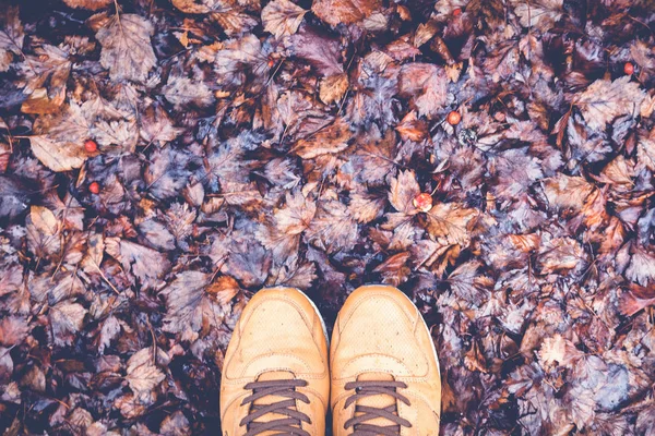 ıslak bir sonbahar yaprakları üzerinde ayakkabı ayaklarda atış yukarıdan