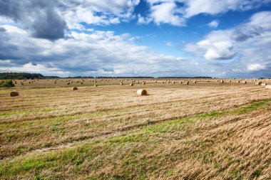 Güzel sonbahar manzara, haystacks, alan ve orman, parlak 